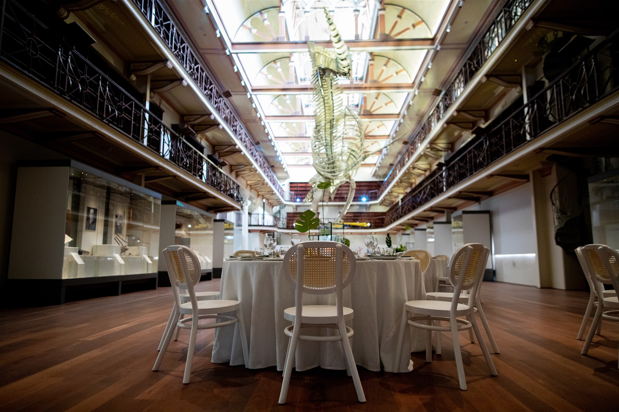 Venue hire & functions Western Australian Museum