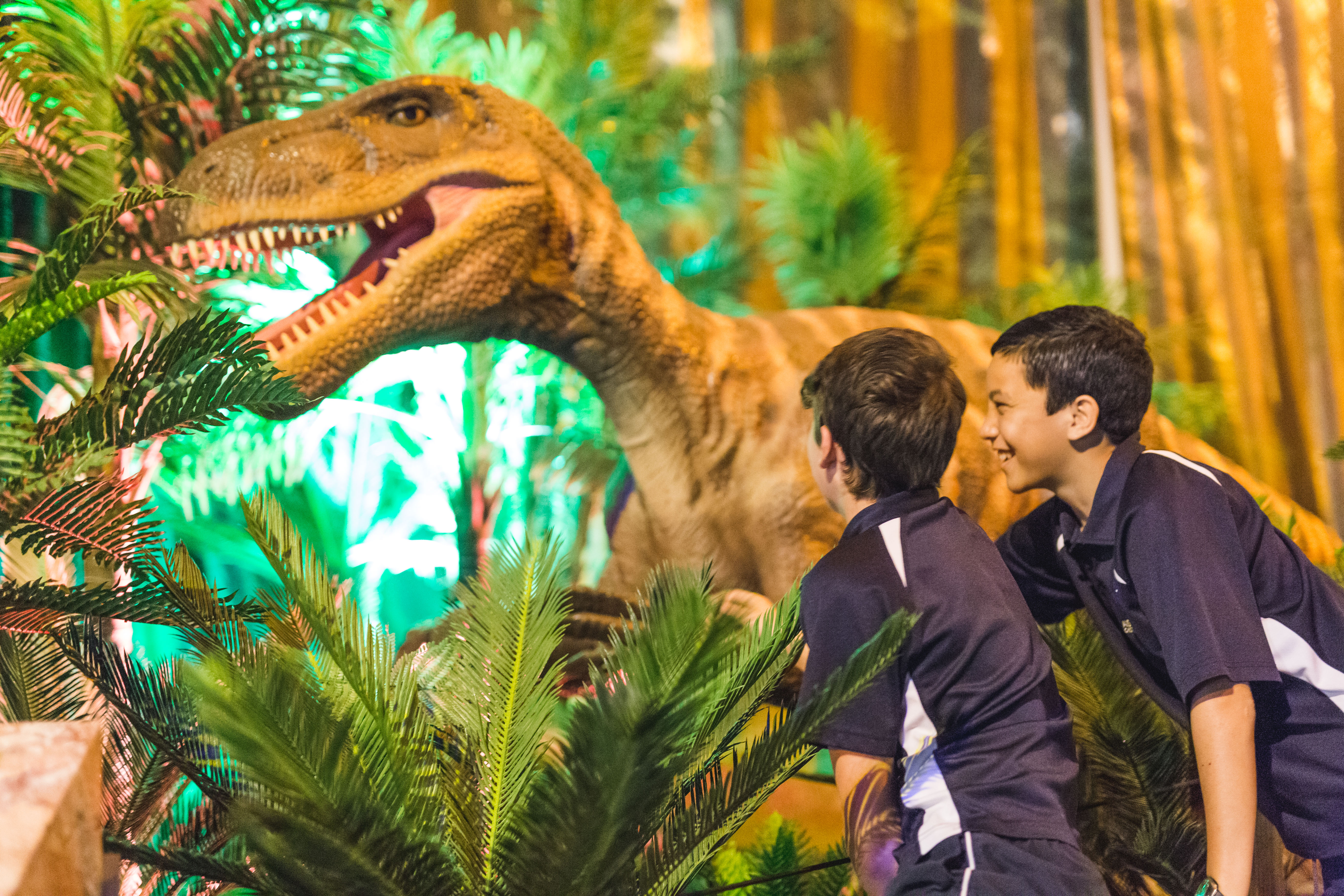 Deinosuchus  Western Australian Museum