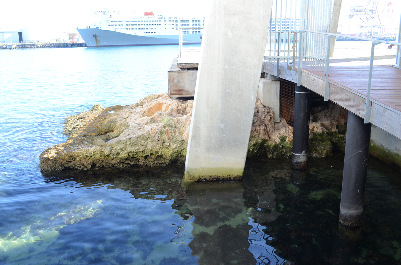 The remnant limestone rockbar, visible beneath the Maritime Museum.