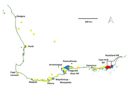 A map of Western Australia's south-west region covered with a sparse array of blue dots along the coastline, representing the distribution of Ringtail Possums