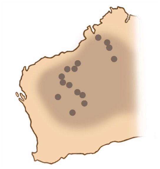 A beige coloured map of Western Australia with darker brown shading around the Mid West and Northern areas with small dots in land marking the locations of Night Parrots