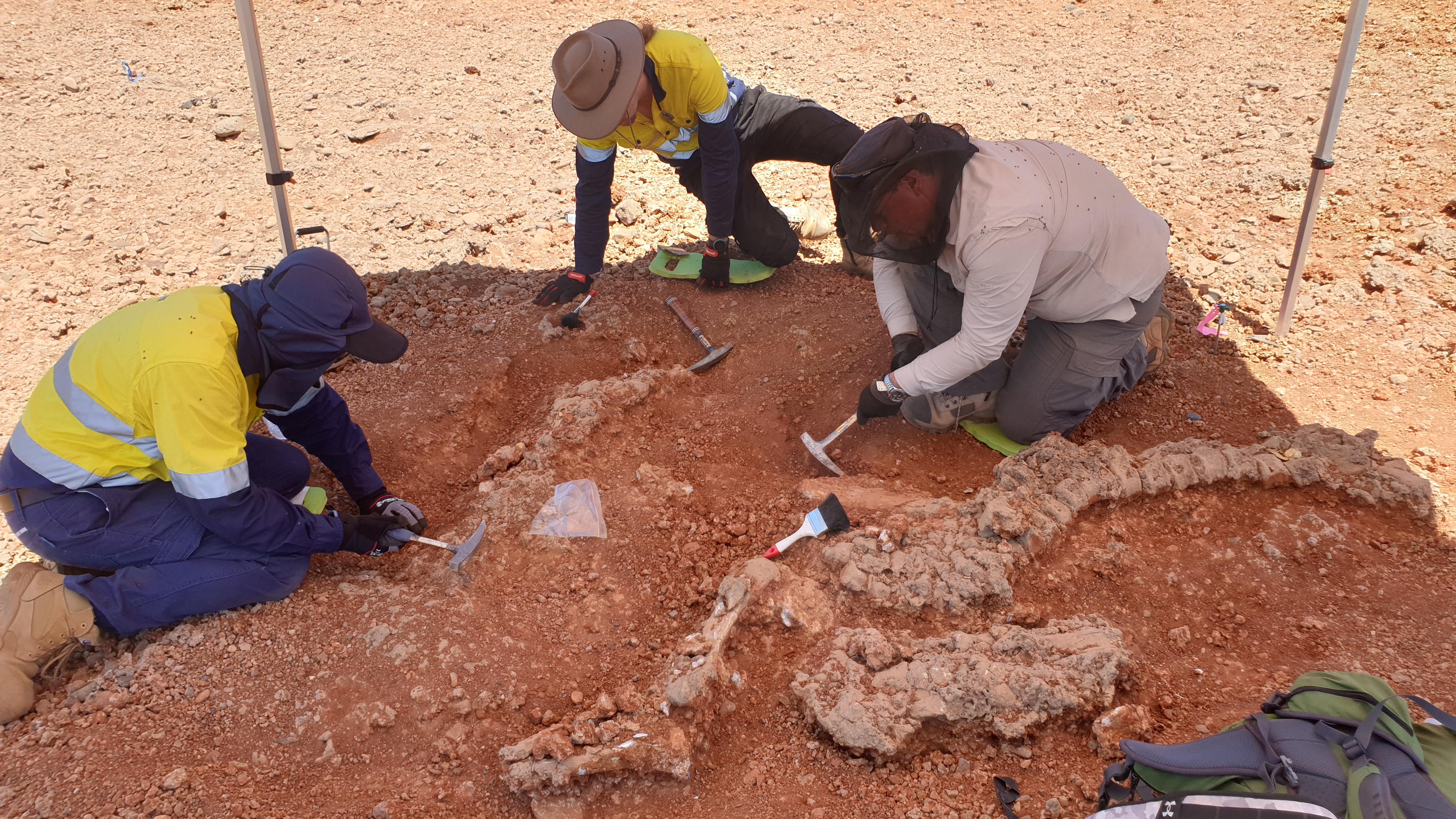 Scientists uncovering a Diprotodon fossil at the De Boulay creek site in northern WA