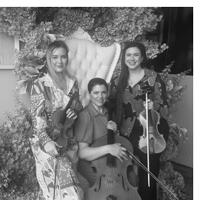 One person with a string instrument sits on an elaborate chair and two other people stand next to them. Floral arrangements are in the background.