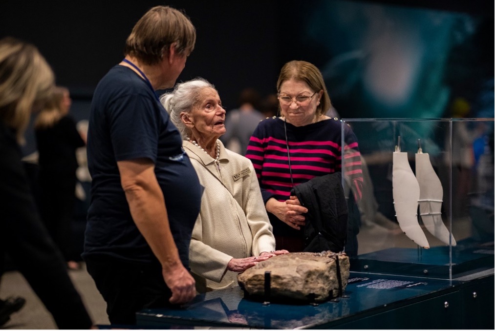 Three people observing a rock display in a museum.