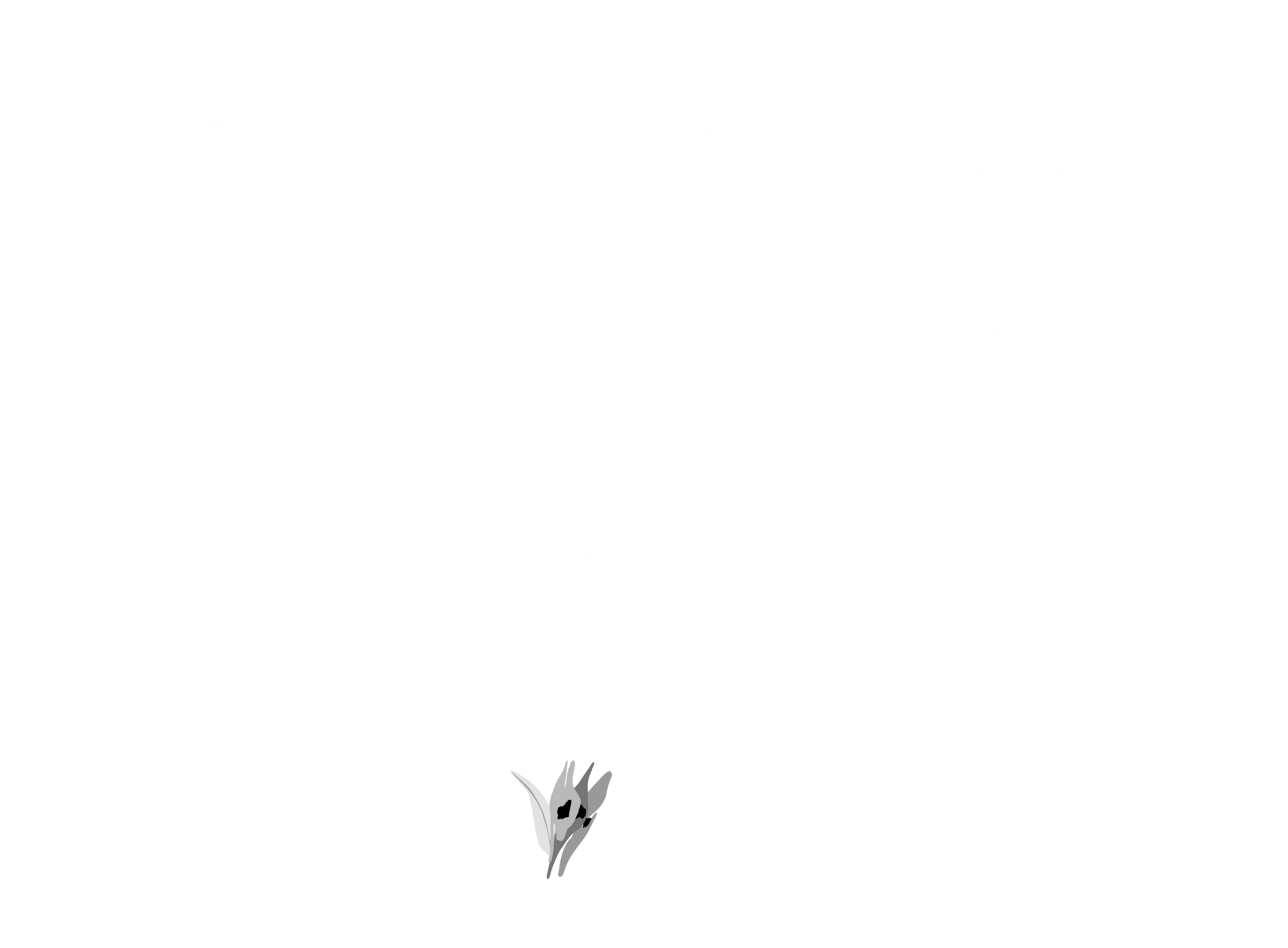 20250627 TWC logo minimal 