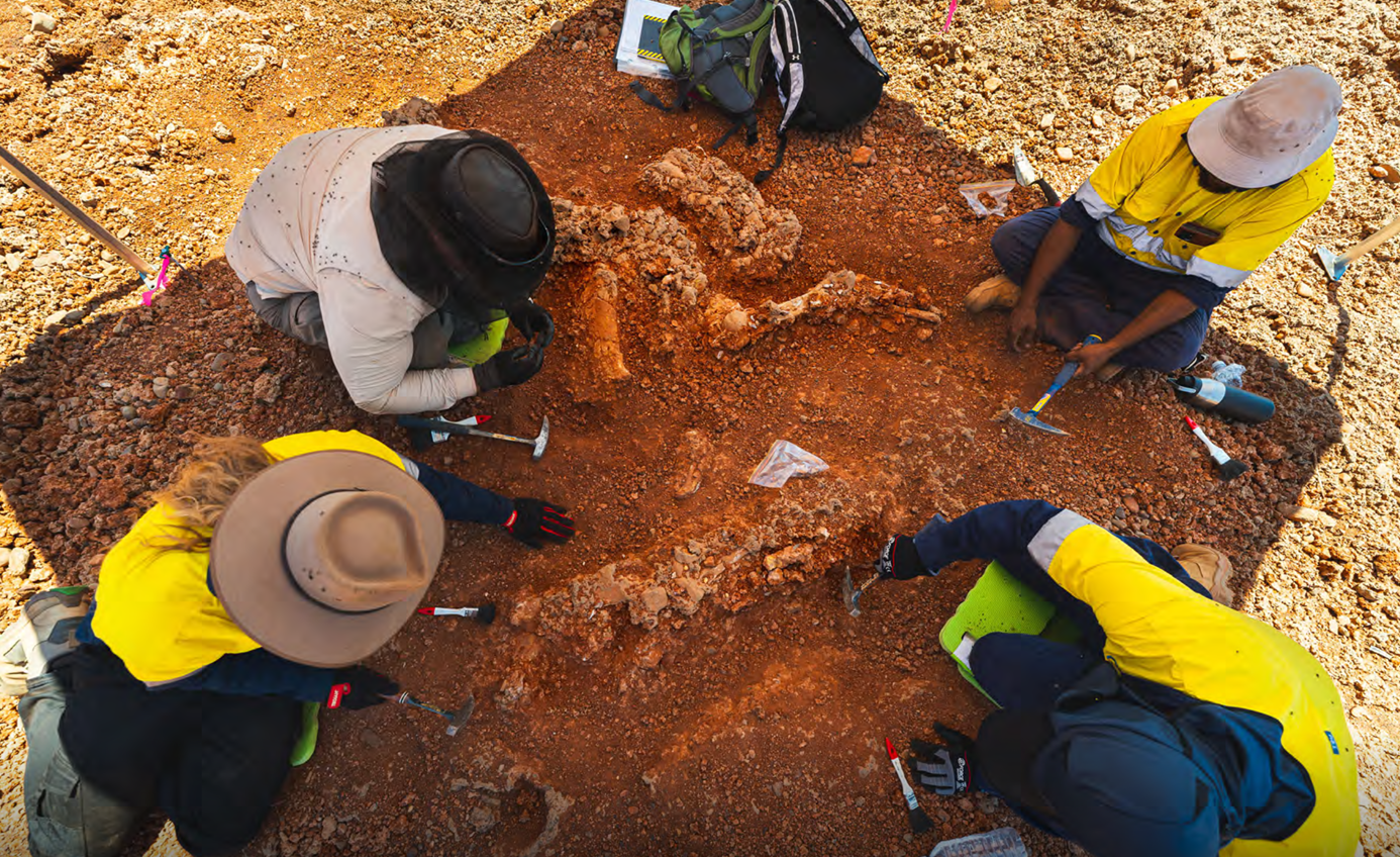 Aerial view of people excavating in red dirt with various tools