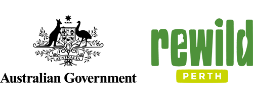 Rewild logos