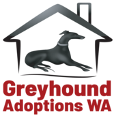 Greyhounds WA logo