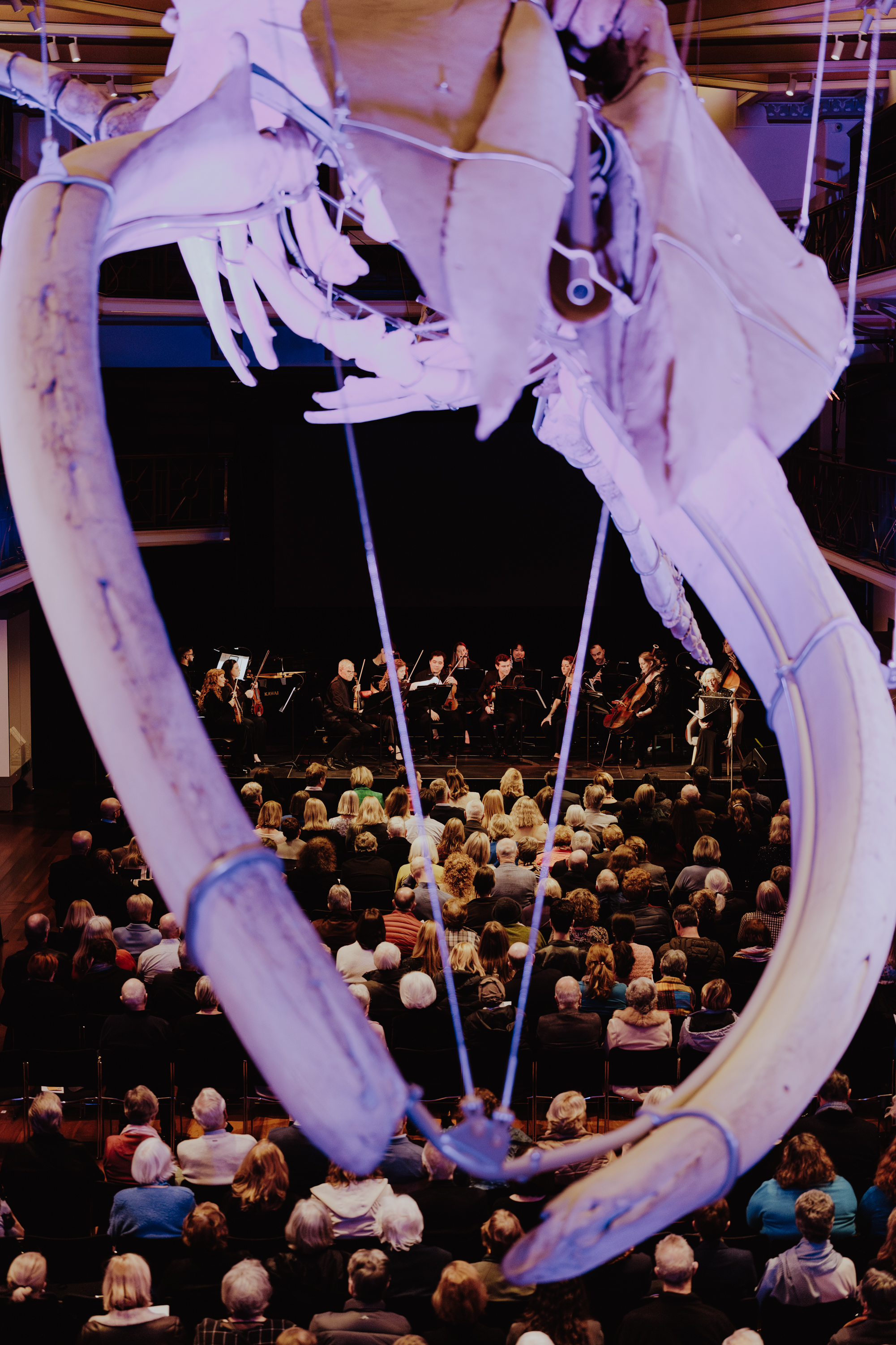Perth Symphony Orchestra, WA Stories