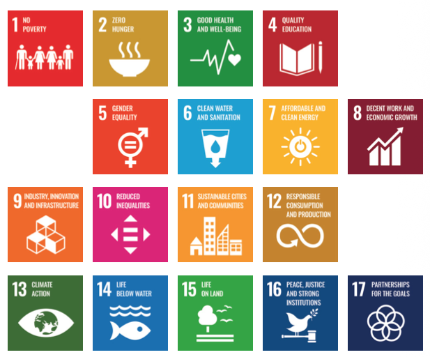 Grid of colourful icons representing the 17 United Nations Sustainable Development Goals, including no poverty, zero hunger, good health, education, clean water, and climate action.