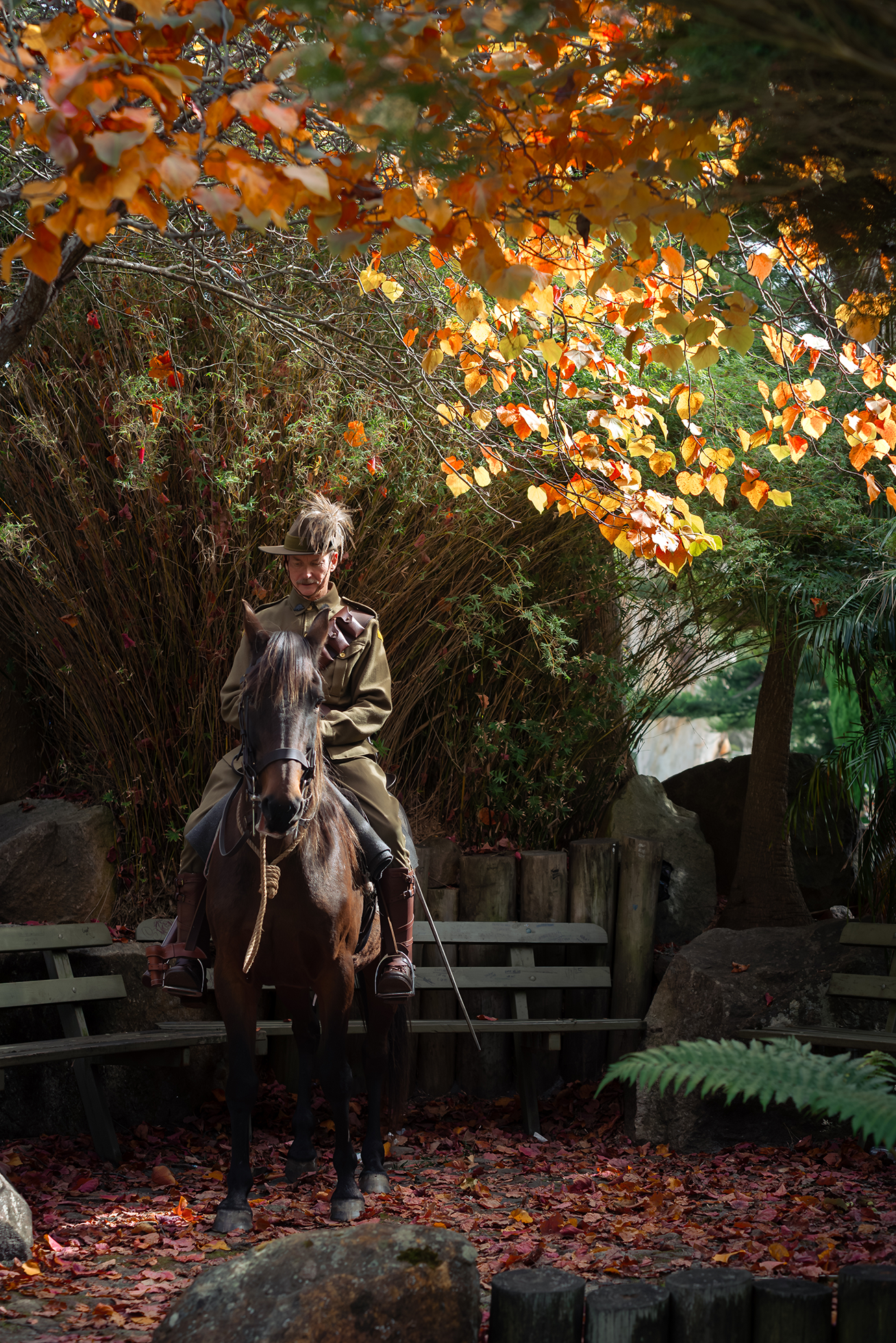 Person seated on a horse beneath autumn-coloured trees, surrounded by fallen leaves and garden benches.