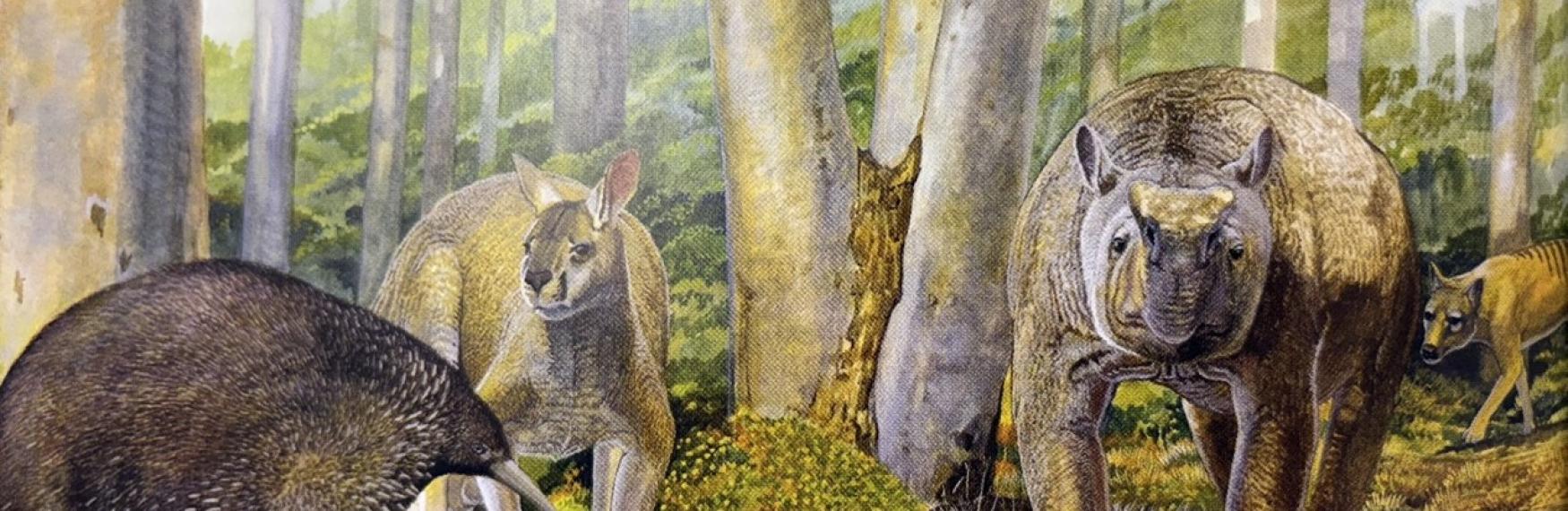 Reconstruction of some of the extinct megafaunal mammals from Mammoth Cave