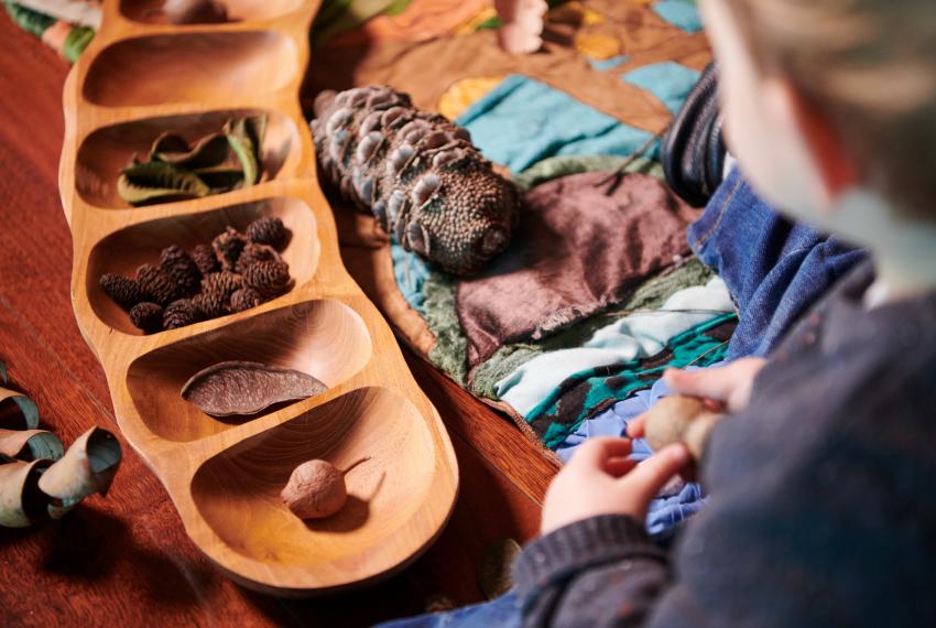 Child looking and playing with different seeds