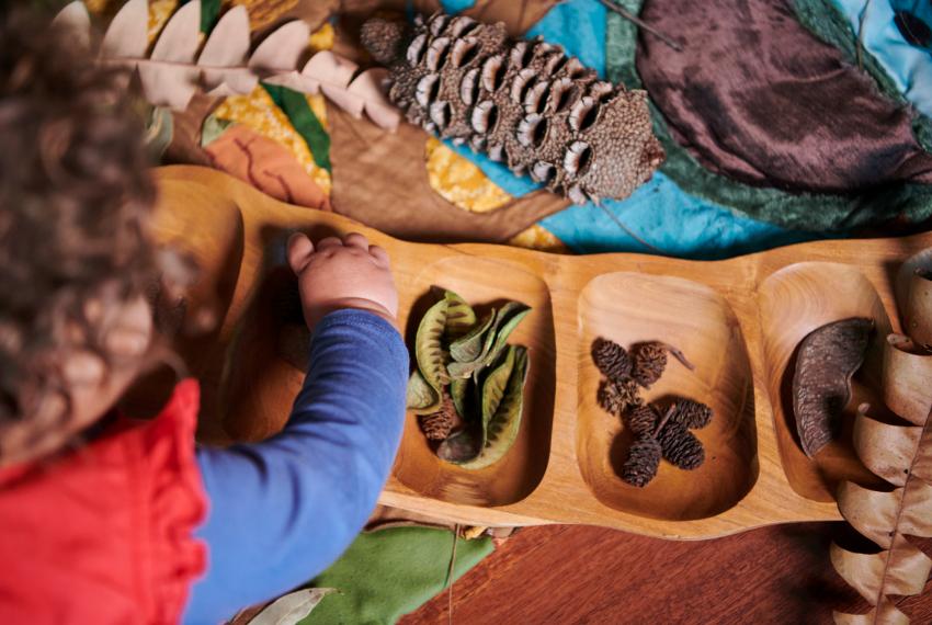 Child playing with plants and seeds