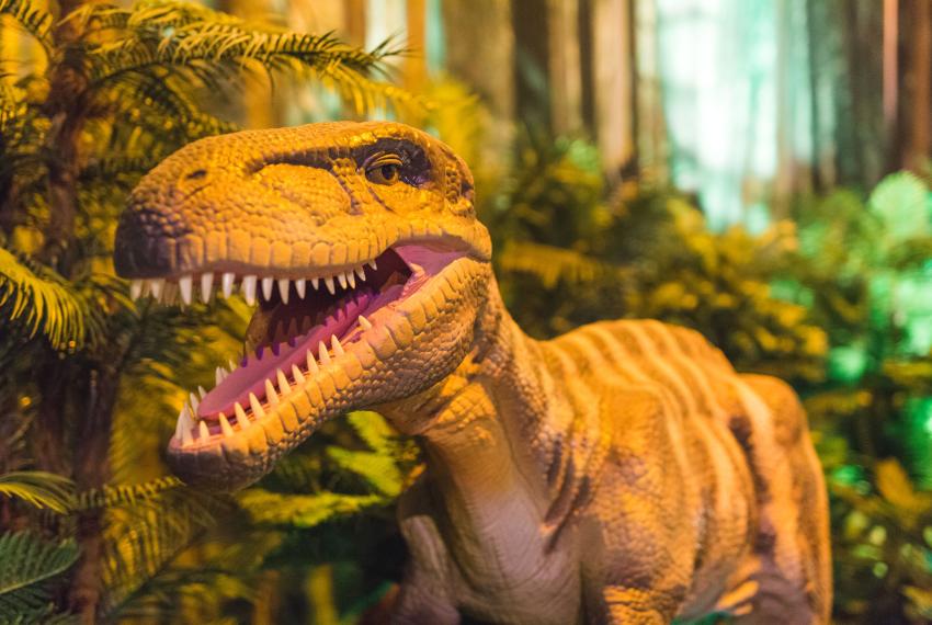 A moving dinosaur puppet standing in a leafy forest bares its teeth at the camera