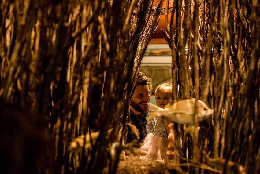 A man and a child look at model fish hidden in tall strands of sea plants