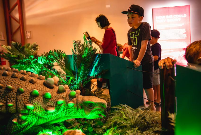 A child looking over a dinosaur exhibition