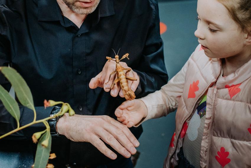 A child having a close encounter with a bug