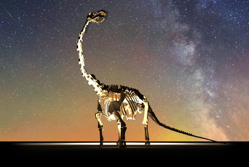 Dinosaurs of Patagonia Webbanner