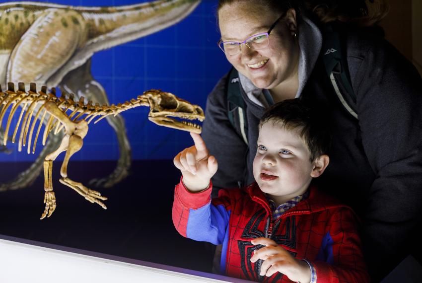 2 people looking at a small dinosaur