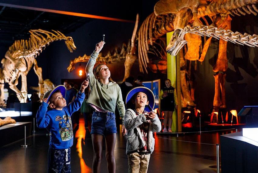 3 children look up at dinosaur skeletons in a museum exhibition