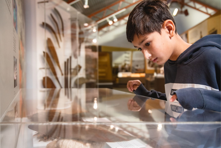 Image of a child inspecting the contents of a glass cabinet.