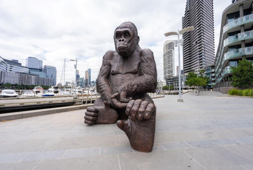 Giant bronze gorilla sculpture