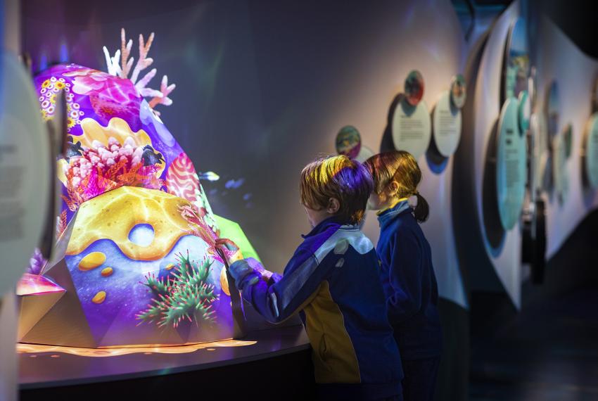 A shot of two school age children, taken from the side, showing them engaging with a colourful projection-mapped reef sculpture covered in brightly coloured coral and fish, in the Wildlife gallery at Boola Bardip.