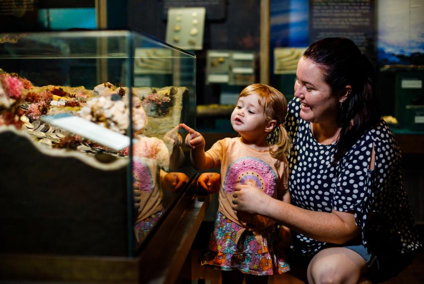 A parent and child examining objects in a glass case