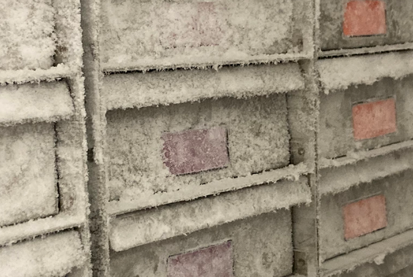 Drawers in the MSU laboratory, covered in ice and frost.
