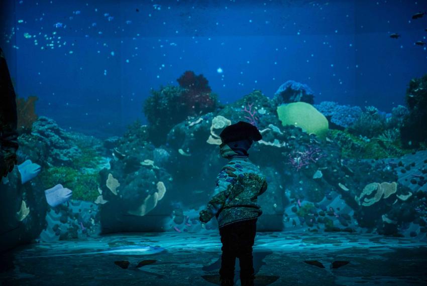 A small child stands in front of a large underwater scene