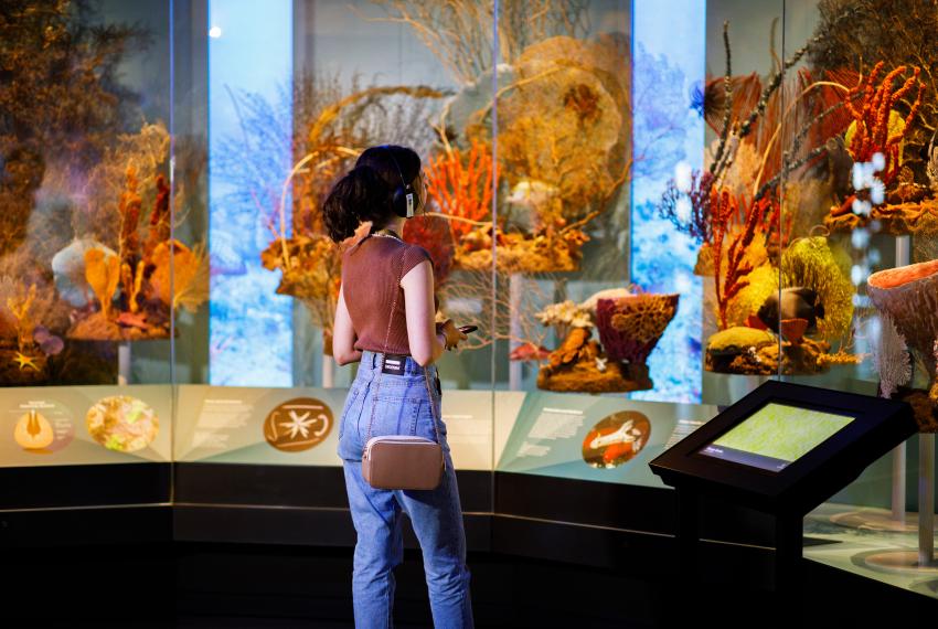 A person standing in front of a coral display