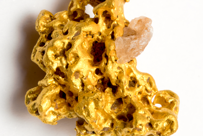 A gold nugget wth gypsum embedded within it