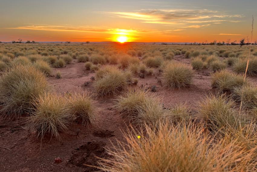 Sunset over Australian outback