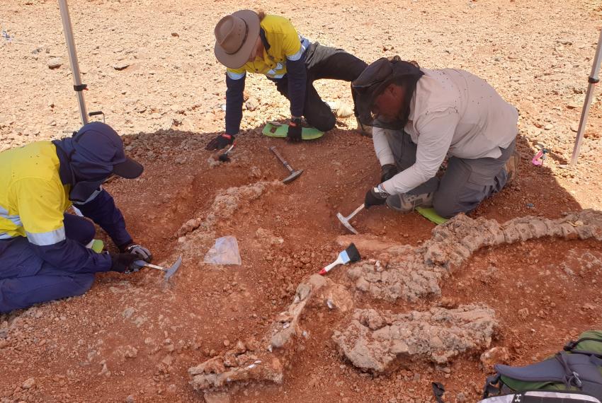 Scientists uncovering a Diprotodon fossil at the De Boulay creek site in northern WA