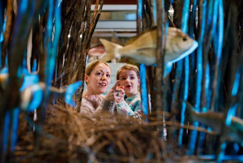 An adult holds up a young child and points towards a fish displayed among reeds in a Museum showcase.