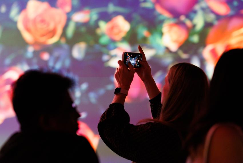 A person silhouetted against colorful floral projections takes a photo with a smartphone.