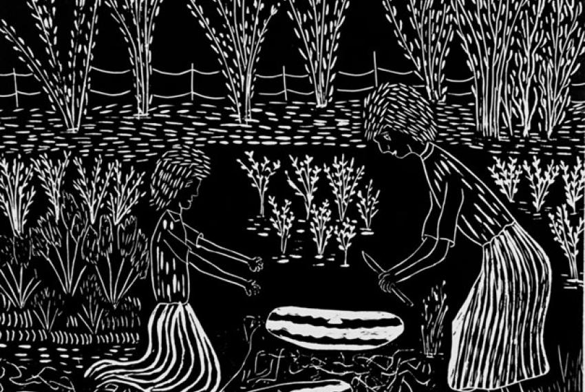 Black and white illustration of two figures tending crops with elongated objects on the ground, surrounded by plants.
