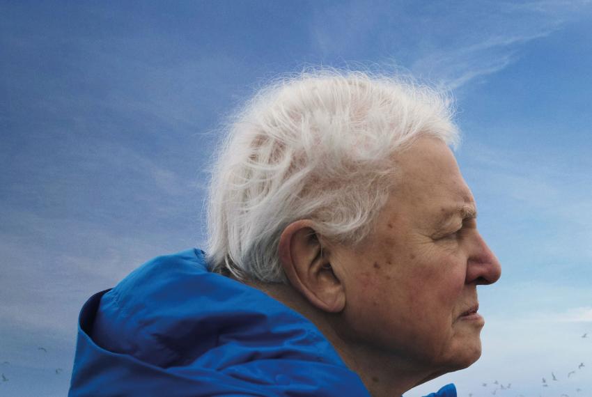 Ocean with David Attenborough (2025)