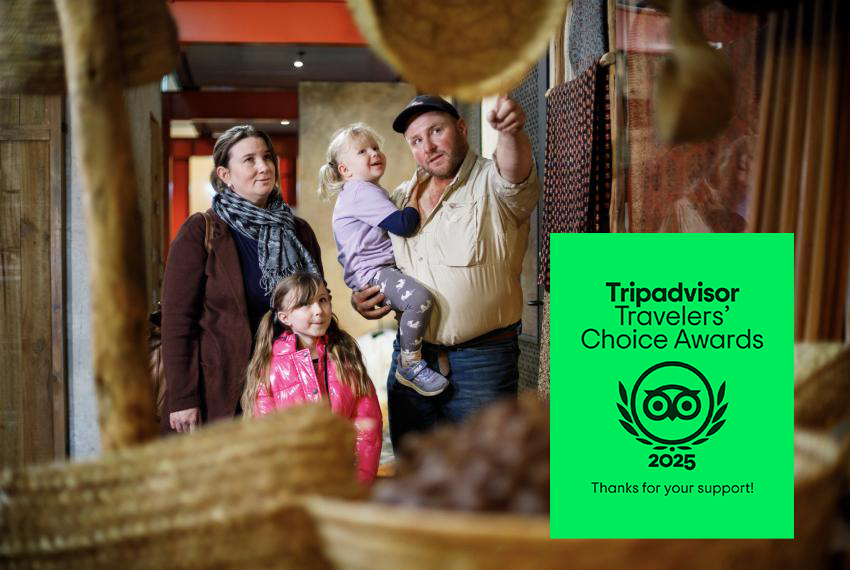 A family of four looks at a museum exhibit, with a green Tripadvisor Travelers' Choice Award graphic on the right.