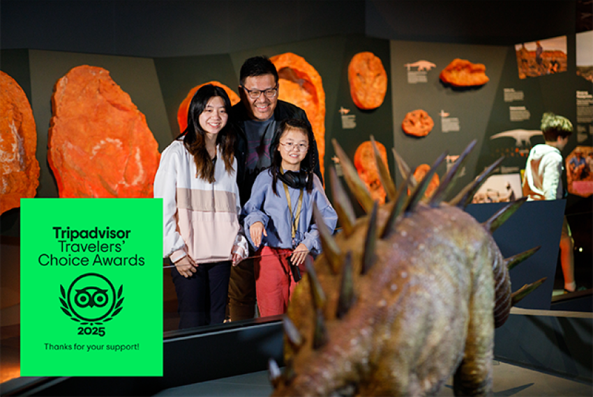 Three people smiling in a museum exhibit with a spiked dinosaur model in the foreground.