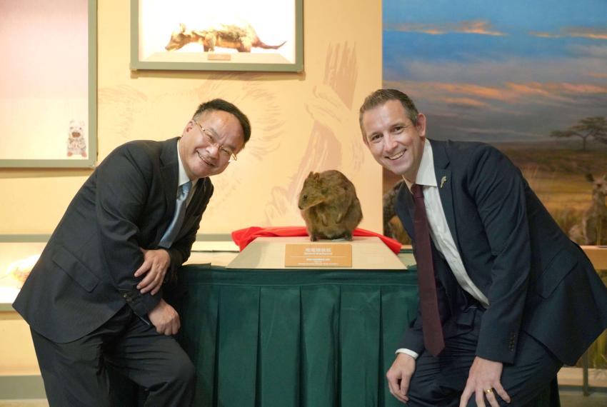 Ni Minjing, Director General of Shanghai Science and Techology Museum and Jason Fair, Director Engagement WA Museum with Aulo the Quokka