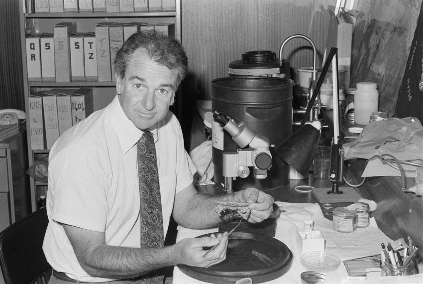 Black and white photo of Ray George sitting at a messy desk in a laboratory while examining a specimen near a microscope.