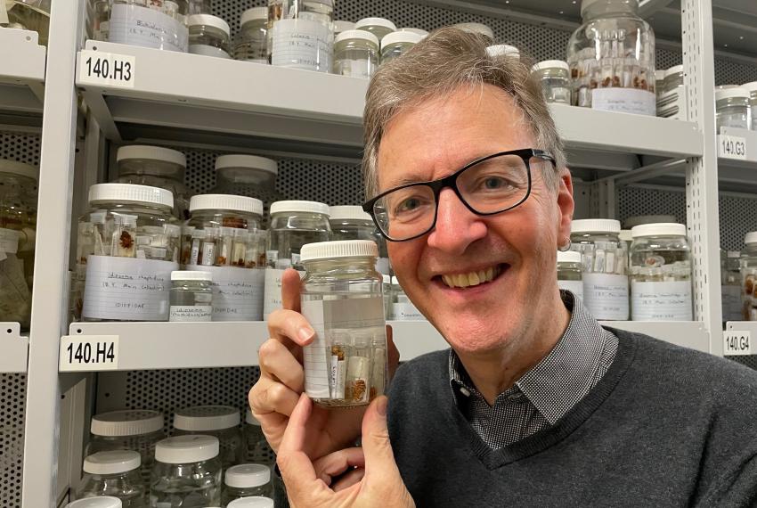 Dr Mark Harvey in WA Museum arachnid collection 