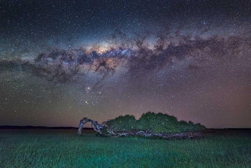 'The Greenough leaning tree' by Geraldton photographer Ken Lawson shows a tree growing sideways under a star-filled night sky.