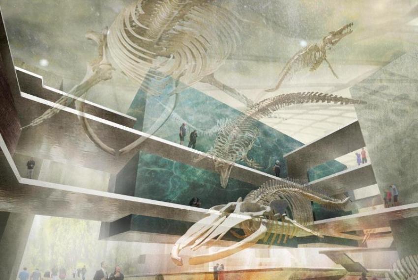 Artist's concept of themed use of internal space in the New Museum incorporating a blue whale skeleton