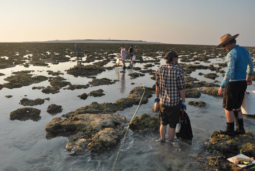 Two scientists performing a survey of reef flats in the Kimberley