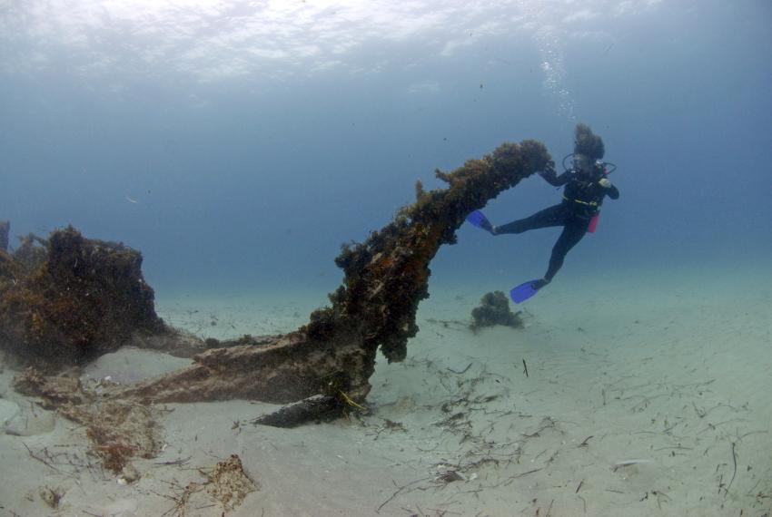 Diver on SS Xantho bow