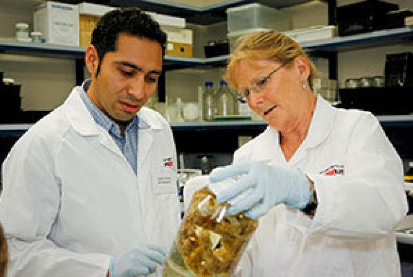 Two scientists examining a large specimen jar