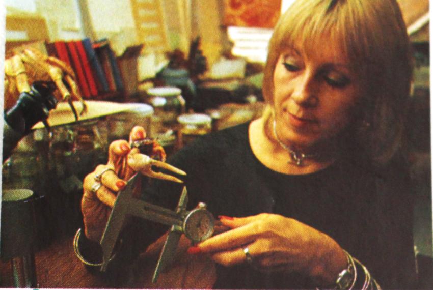 Diana Jones holding a fiddler crab